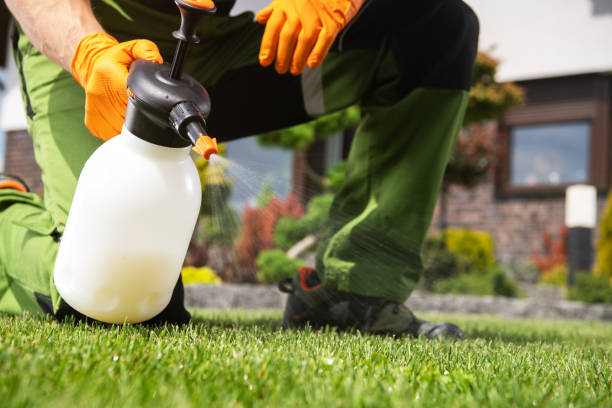 Bird Control in Graceville, FL