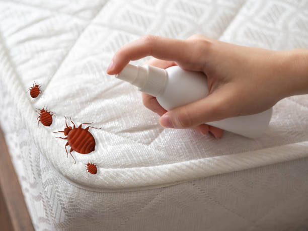 Best Affordable Pest Control Services  in Graceville, FL