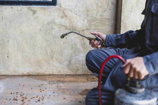 Best Flea Control Services  in Graceville, FL